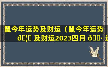 鼠今年运势及财运（鼠今年运势 🦟 及财运2023四月 🌷 运势怎么样）